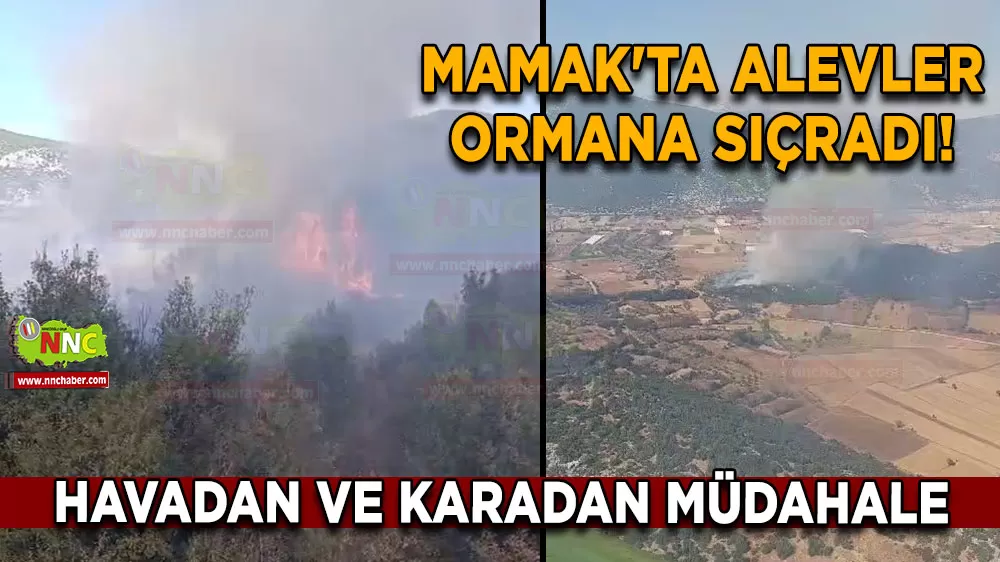 Mamak'ta alevler ormana sıçradı! Havadan ve karadan müdahale