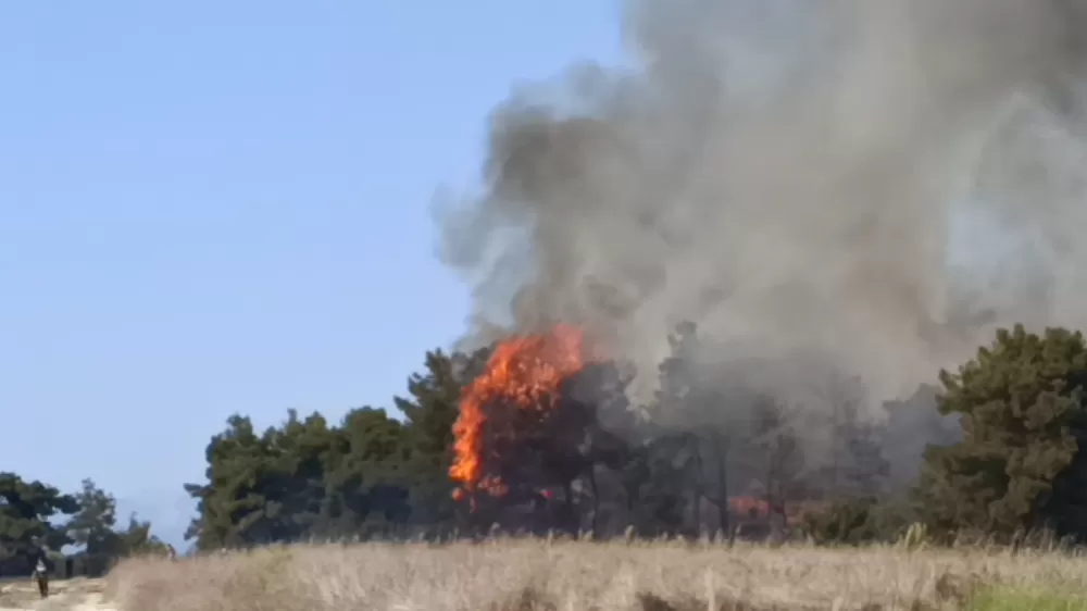 Manavgat'ta arazide başlayan yangın ormanlık alana sıçradı