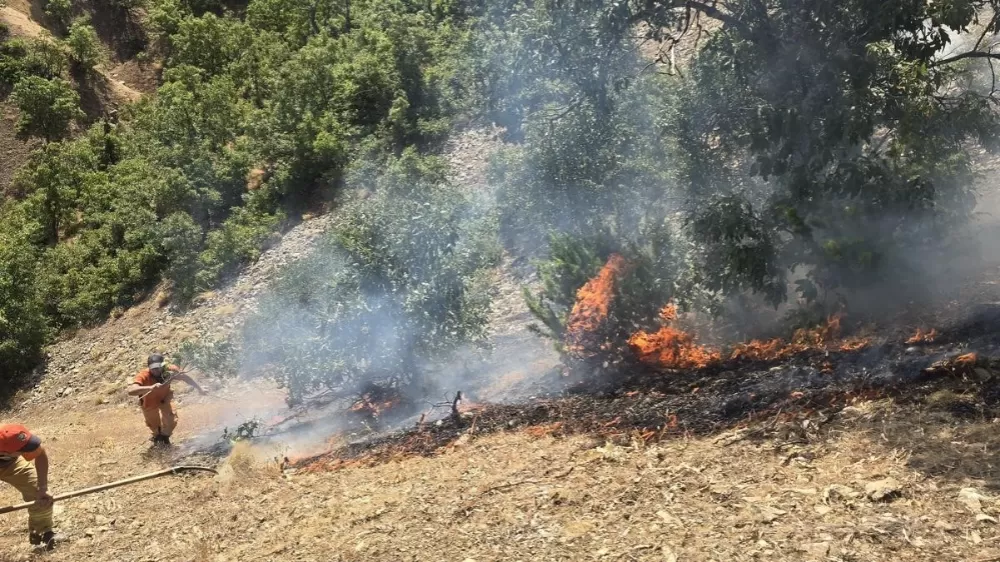 Mersin'de çıkan orman yangını paniğe sebep oldu