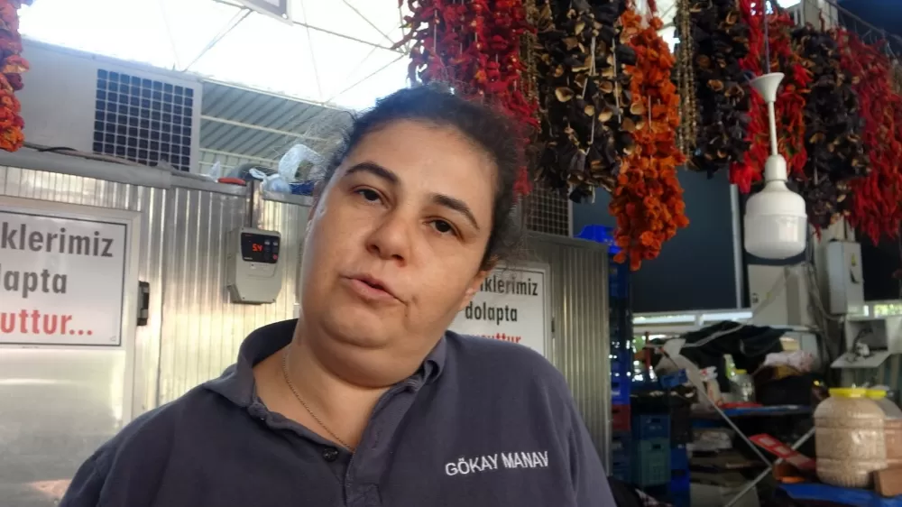 Muğla'da kurutmalıklar artık yurt dışında 