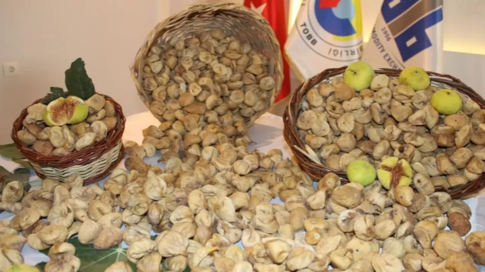 Önder: "İhracatçının bu politikası ile Türkiye kendi ayağına sıkıyor"