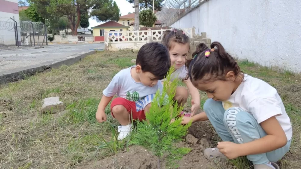 Ordulu miniklerden fidan dikim etkinliği