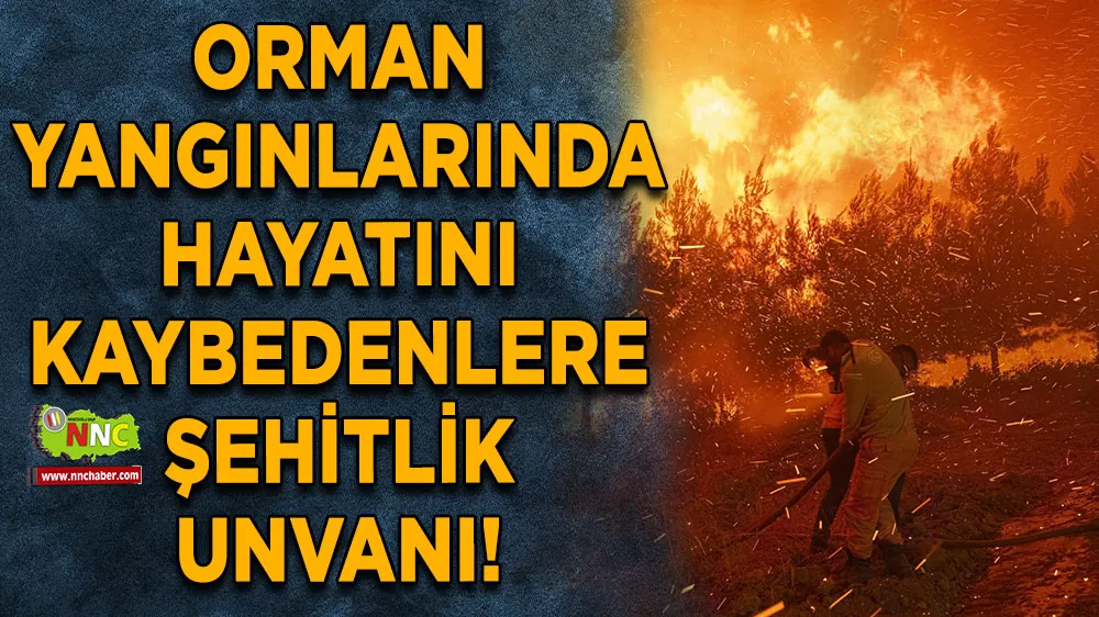 Orman yangınlarında hayatını kaybedenlere şehitlik unvanı!