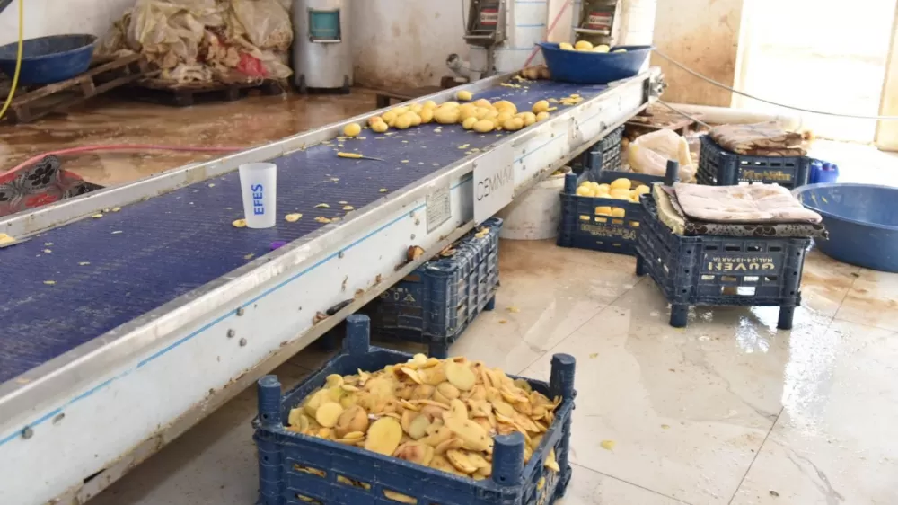 Otel ve restoranlara verilen 1,5 ton işlenmiş patates imha edildi
