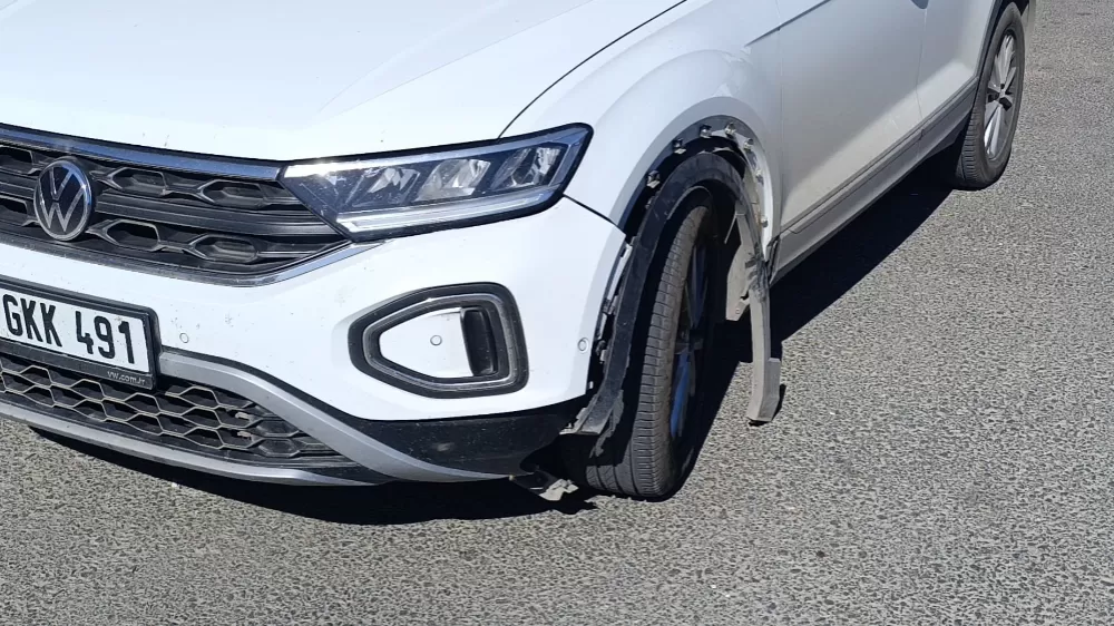 Otomobilin çarptığı köpek telef oldu