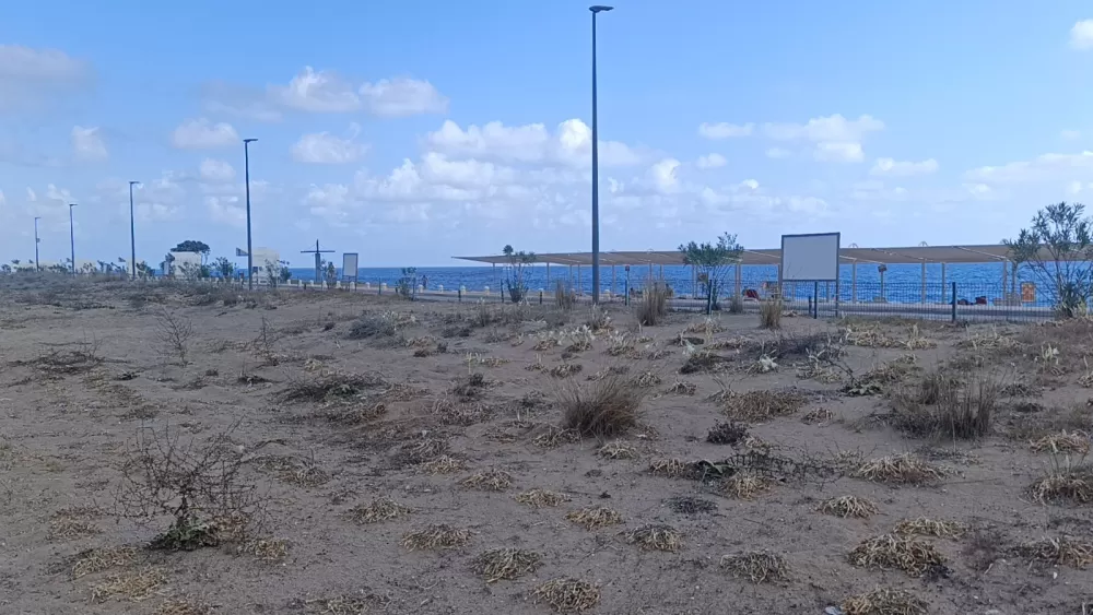 Nesli tükenme tehlikesi altında! Bunu koparırsanız cebiniz fena yanacak