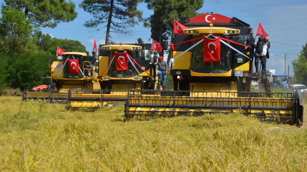 Samsun’da "1. Çeltik Hasat Günü"