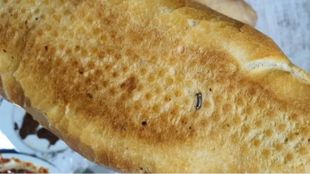  Siirt'te ekmekten çivi çıktı