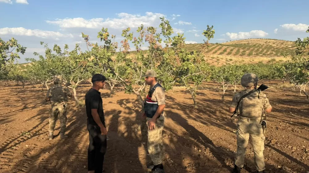 Siirt’te jandarma, fıstık hırsızlıklarına karşı denetimlerini artırdı