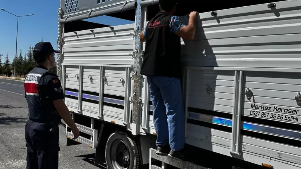  Uşak’ta şap hastalığına karşı denetimler hız kesmeden sürüyor