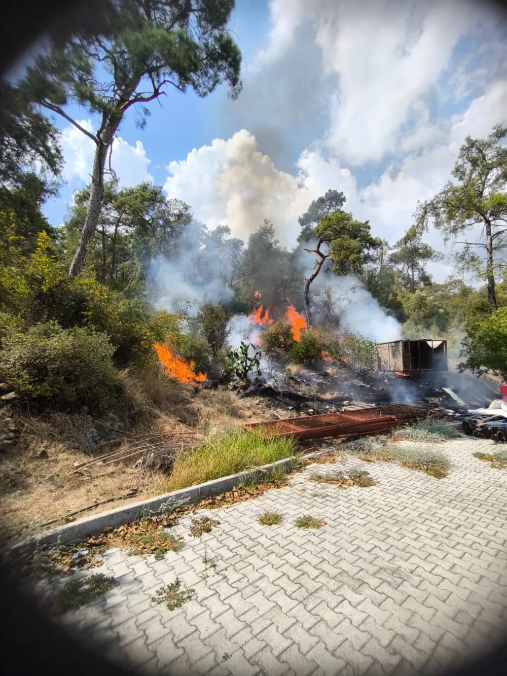 Antalya Kemer'de orman yangını Ekipler seferber oldu