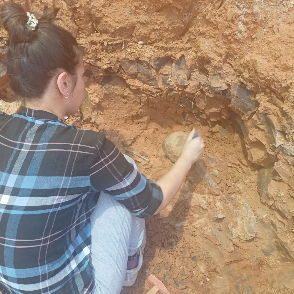 MAKÜ’lü akademisyenlerce 9 milyon yıllık fosiller gün yüzüne çıkarılıyor