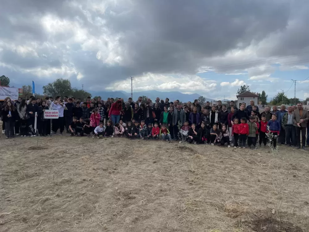 Bucak'ta Orman Şehitleri için zeytin fidanları dikildi