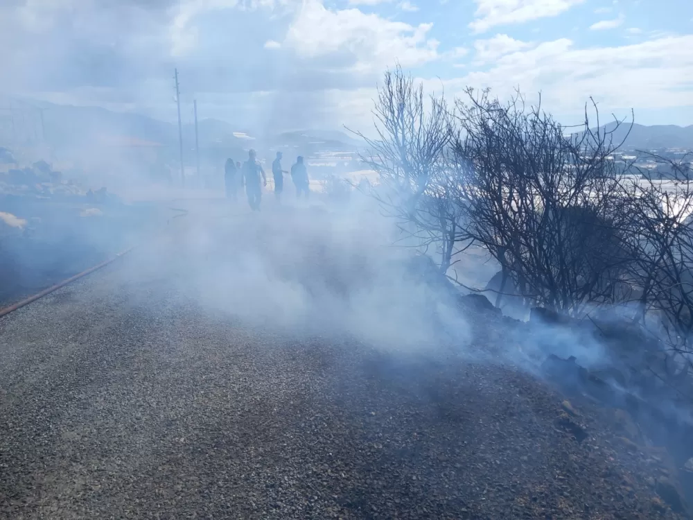 Gazipaşa'da zirai alanda yangın büyümeden söndürüldü