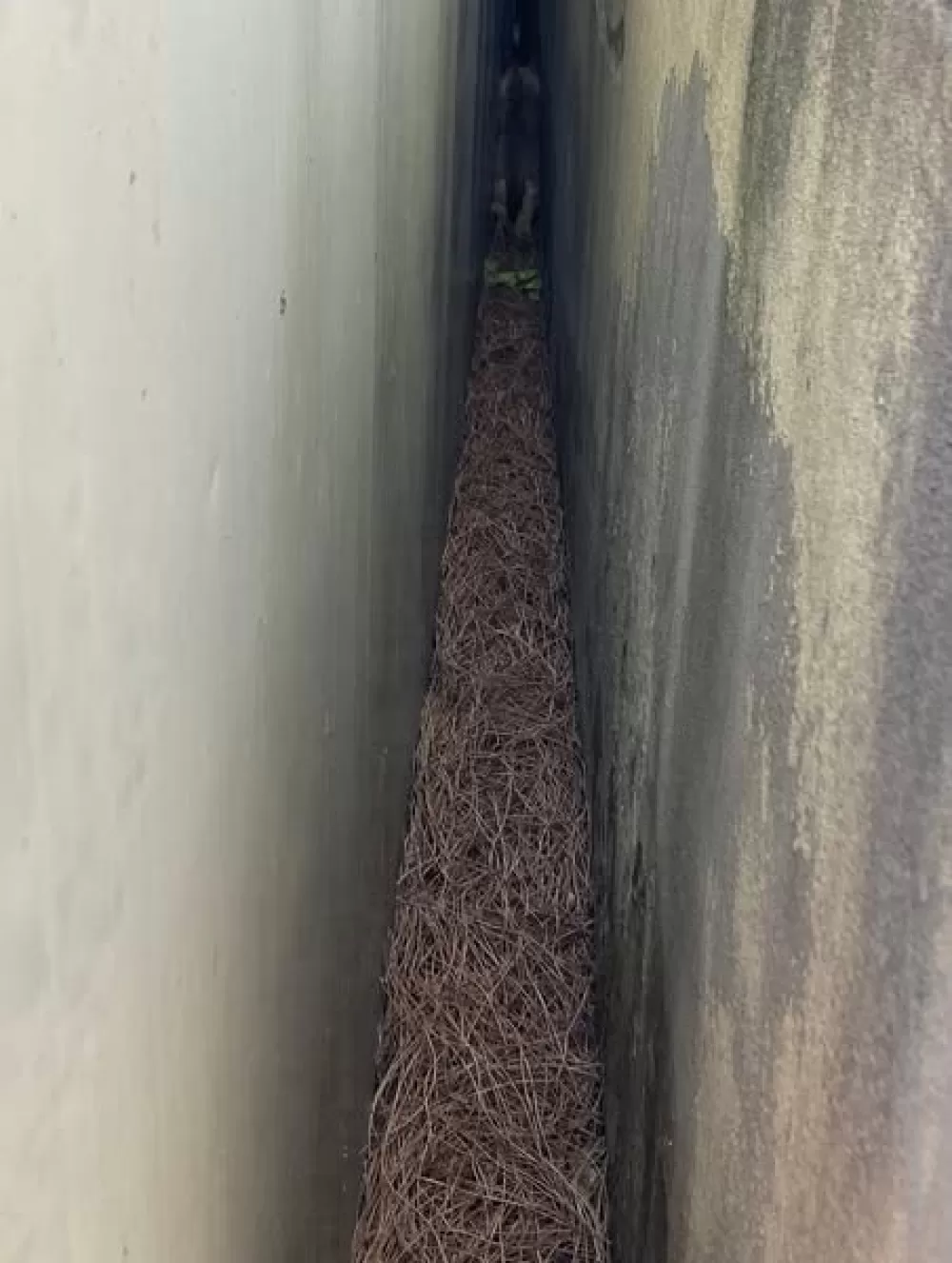 Hatay’da yürekleri ısıtan kurtarma! Sıkıştığı yerden çıkarıldı