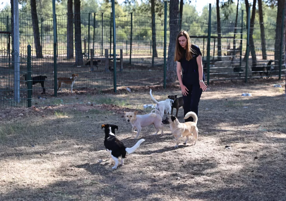 Antalya'da sokak hayvanlarına 7/24 bakım ve rehabilitasyon