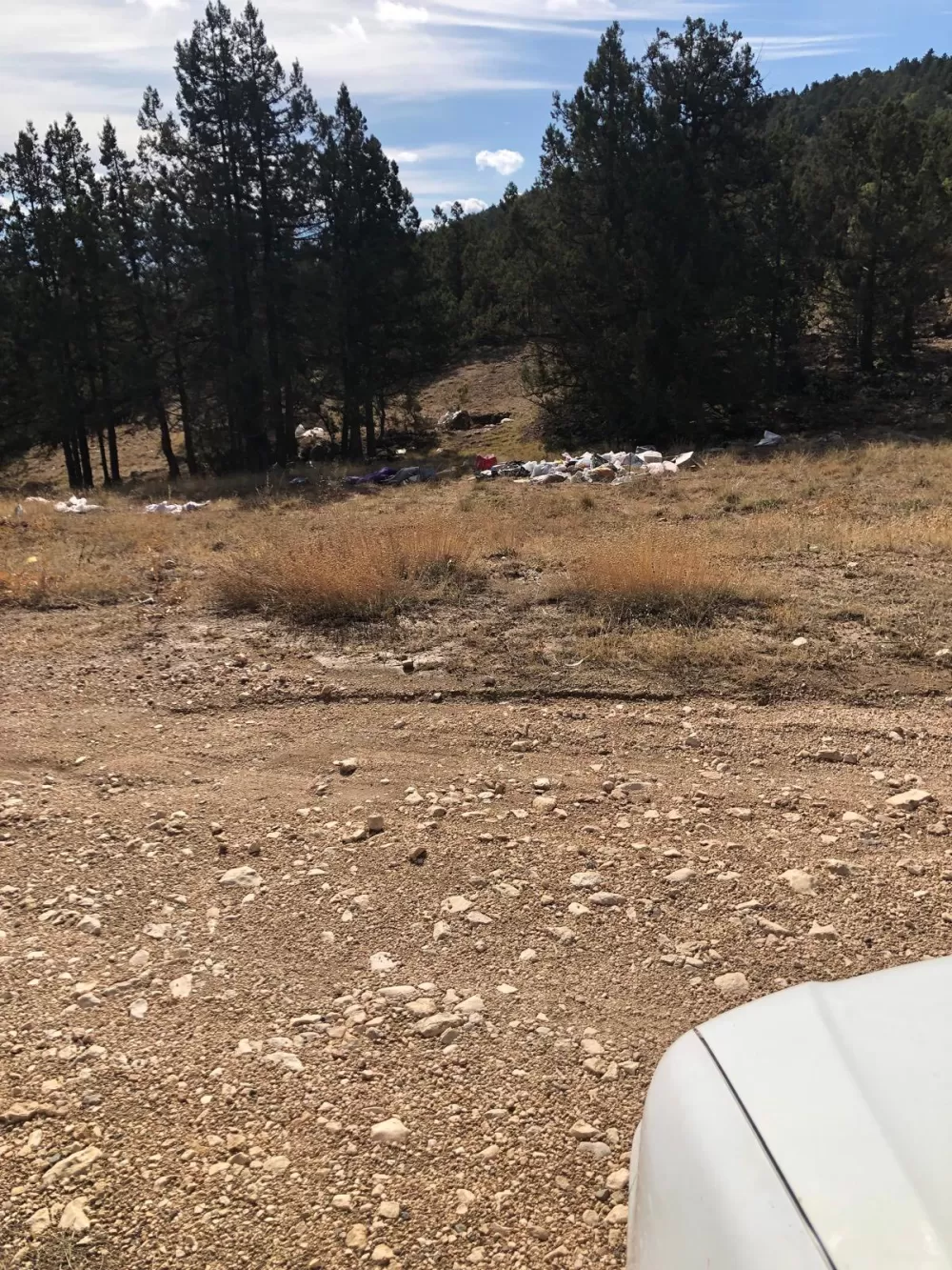 İnsan diyemiyorum diyerek verdi veriştirdi Başkan Selimoğlu'ndan sert tepki