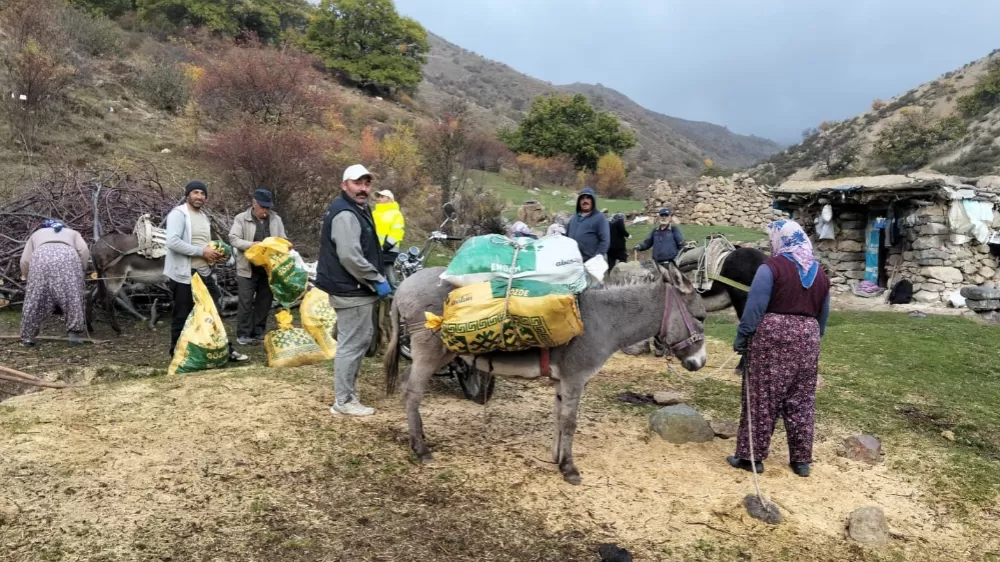 Afyonkarahisar'da kestane hasadı başladı