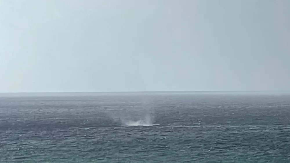 Alanya açıklarında oluşan hortum korkuttu