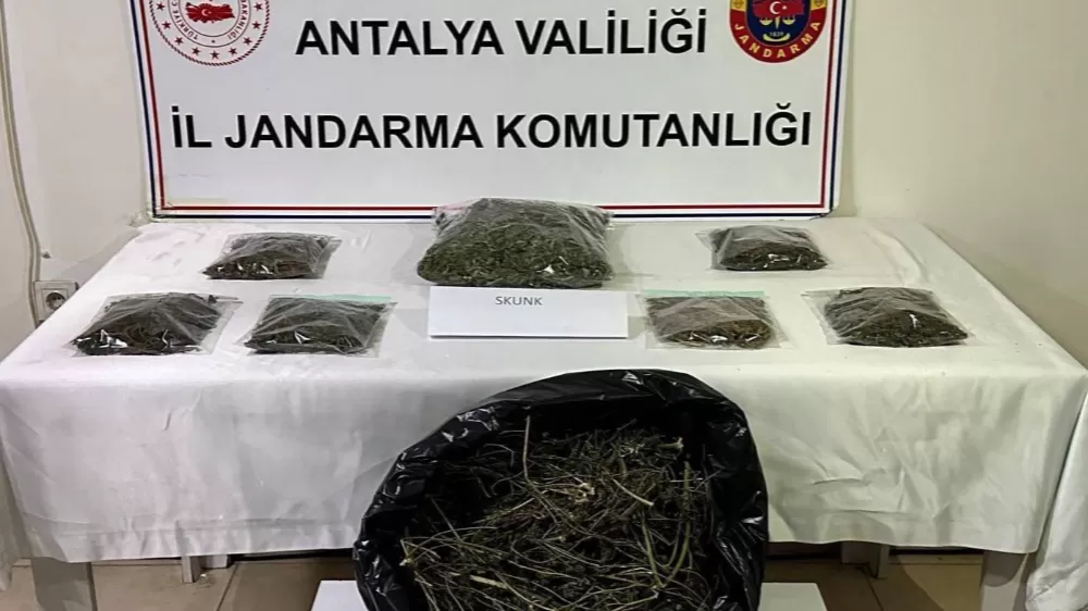 Alanya'da uyuşturucu operasyonu 800 gram uyuşturucu ele geçirildi