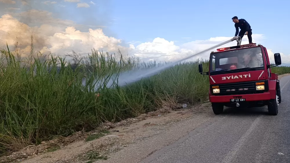 Antalya'da dökülen çöpler kargıların yanmasına neden oldu