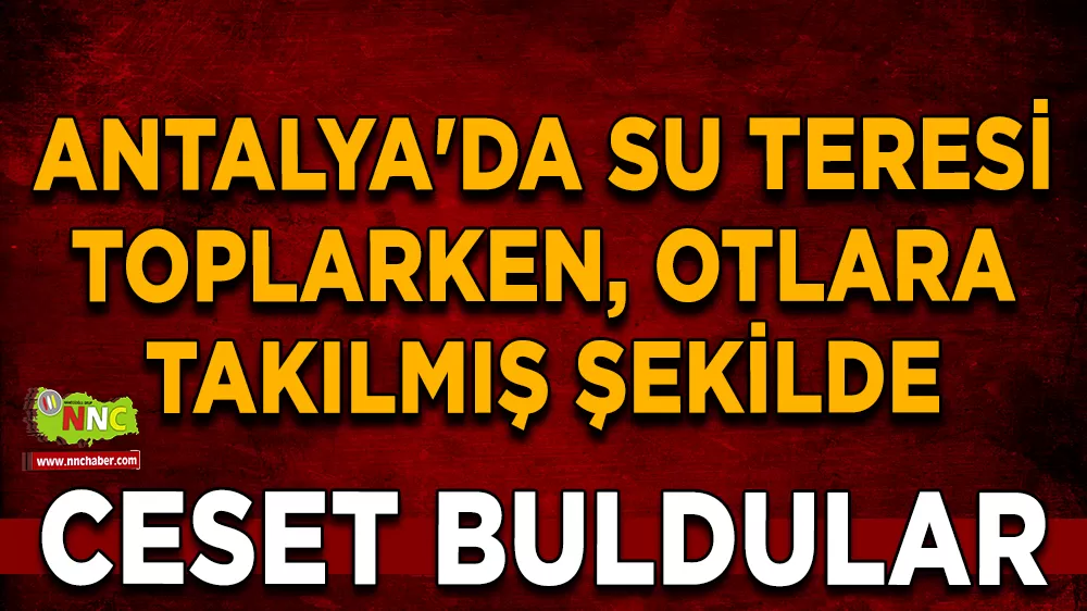 Antalya'da su teresi toplarken, otlara takılmış şekilde ceset buldular
