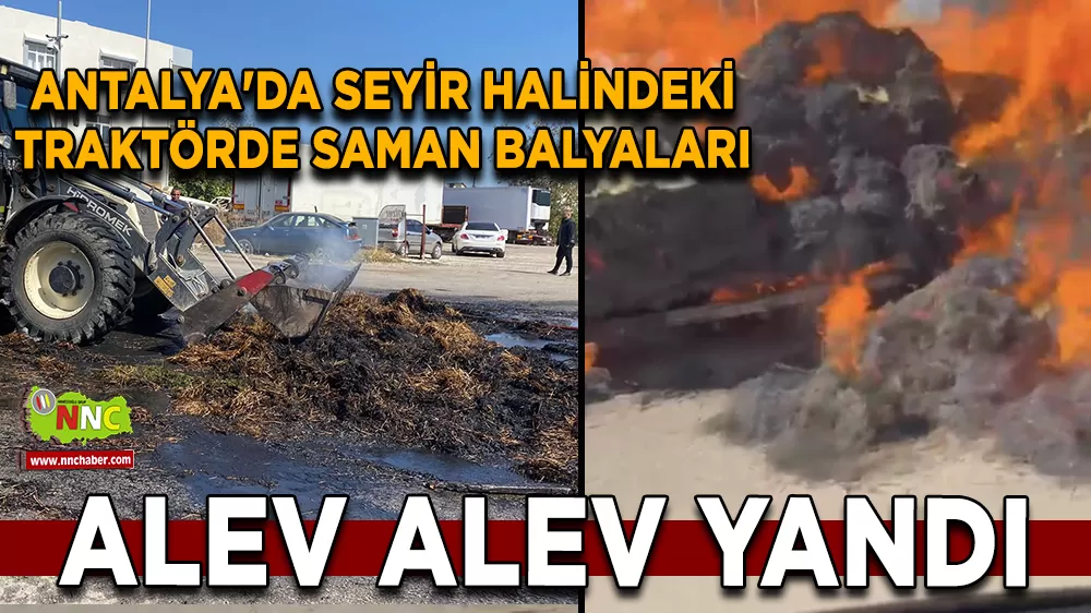 Antalya'da traktörde bulunan saman balyaları yanarak kül oldu