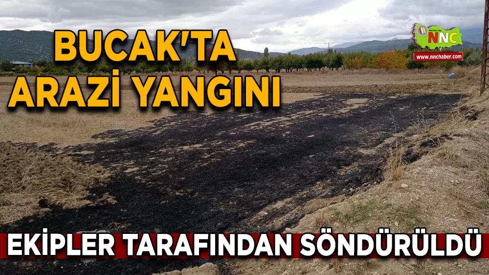 Bucak'ta arazi yangını Ekipler tarafından söndürüldü