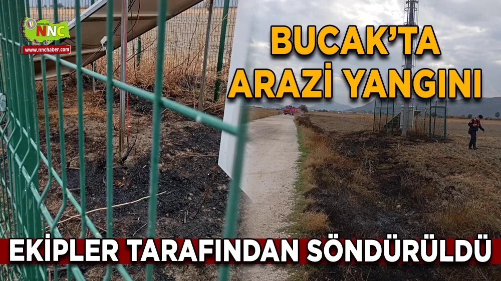 Bucak'ta arazi yangını Ekipler tarafından söndürüldü