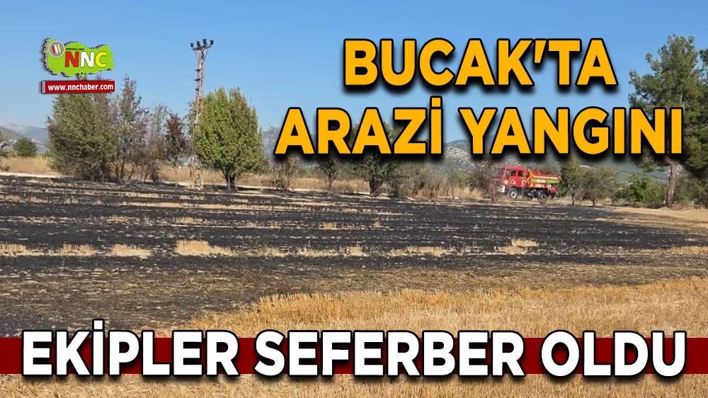 Bucak'ta arazide çıkan yangın itfaiye ekiplerince söndürüldü