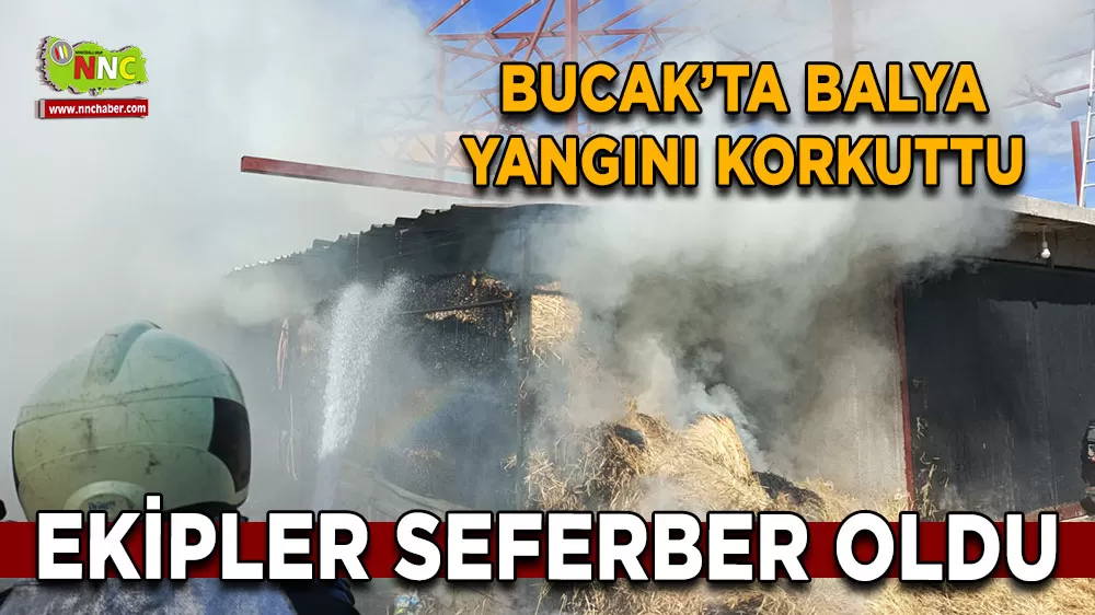 Bucak’ta balya yangını korkuttu Ekipler seferber oldu