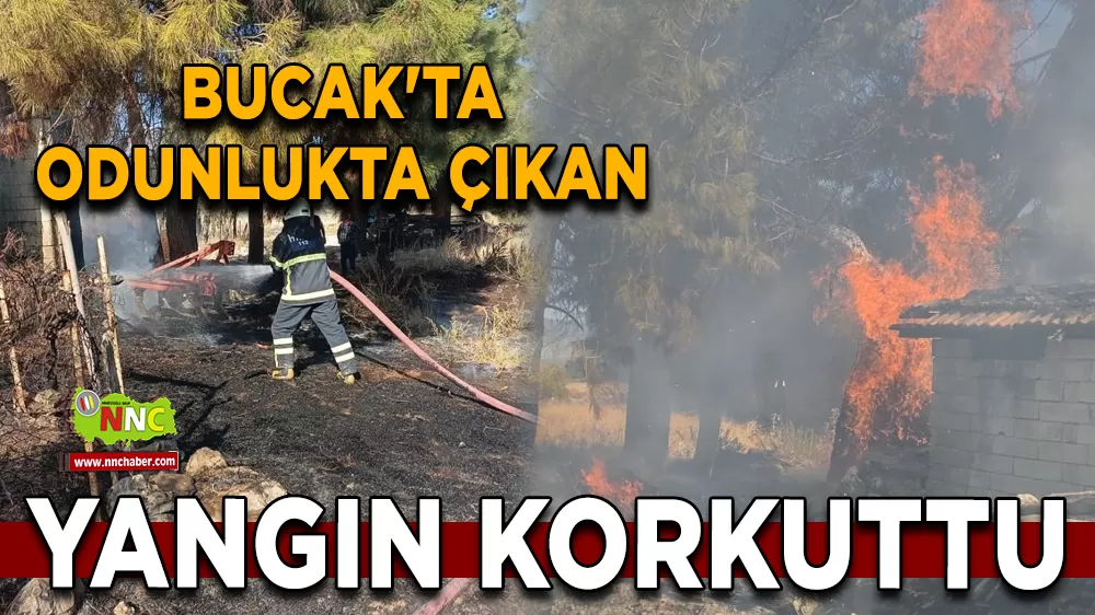 Bucak'ta odunlukta çıkan yangın korkuttu