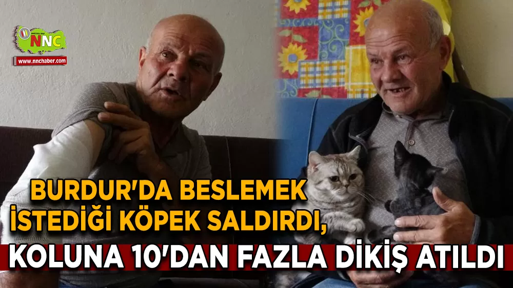 Burdur'da beslemek istediği köpek saldırdı, koluna 10'dan fazla dikiş atıldı