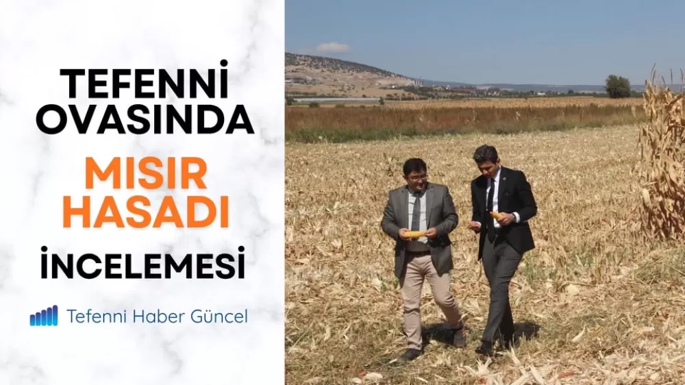 Burdur Tefenni Kaymakamı Mısır Hasadında 