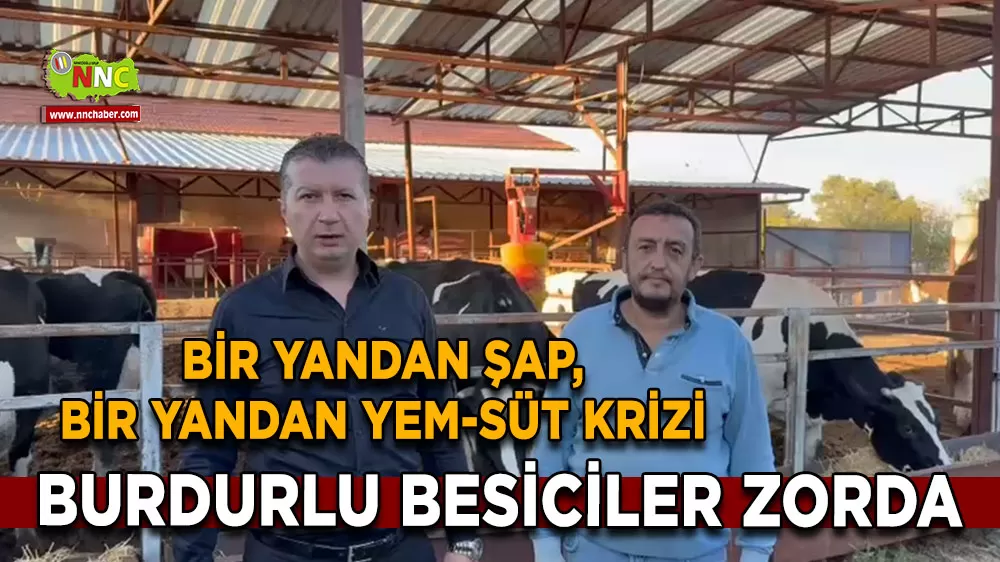 Burdurlu besiciler zorda Bir yandan şap, bir yandan yem-süt krizi