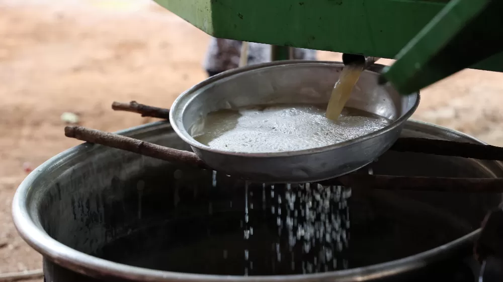 Büyükşehirden üreticiye üzüm sıkma makinesi desteği
