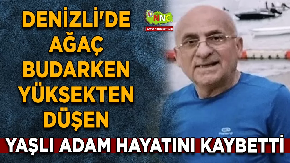 Denizli'de ağaç budarken yüksekten düşen yaşlı adam hayatını kaybetti