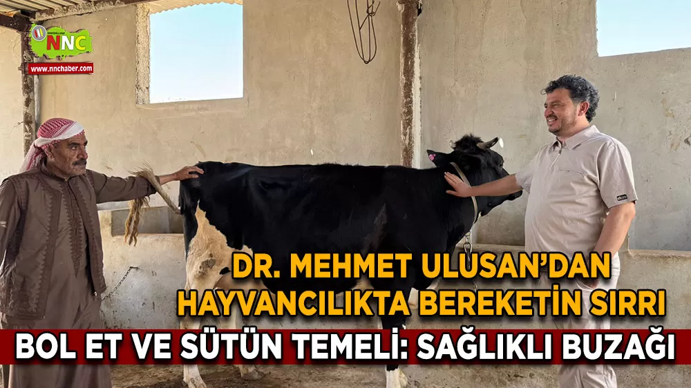 Dr. Mehmet Ulusan’dan hayvancılıkta bereketin sırrı
