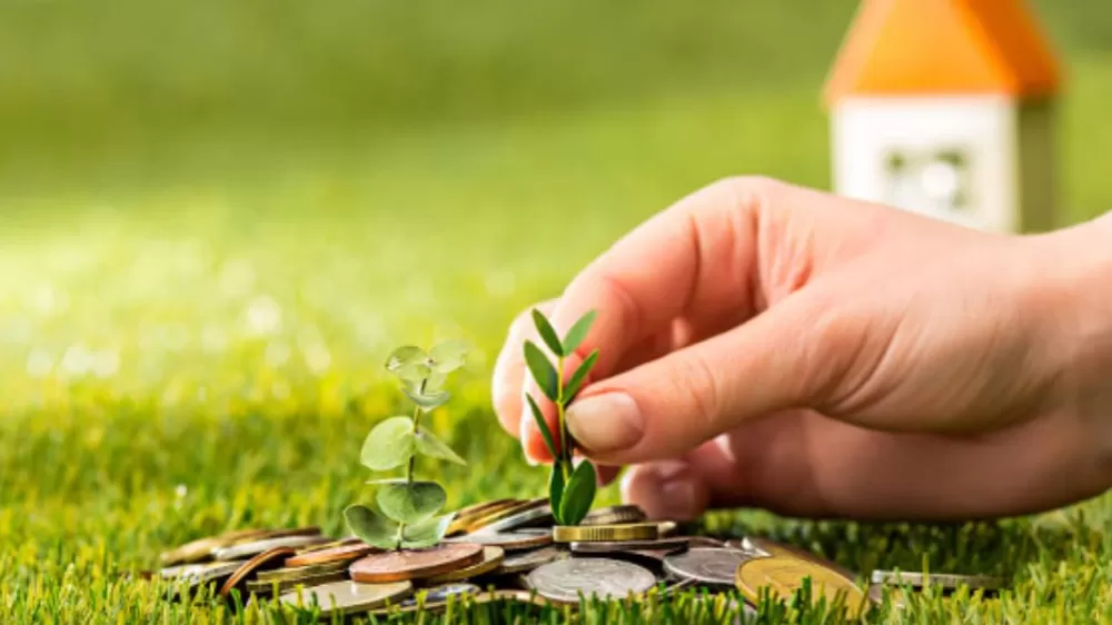 Fon Yatırımı Yaparken Dikkat Edilmesi Gerekenler