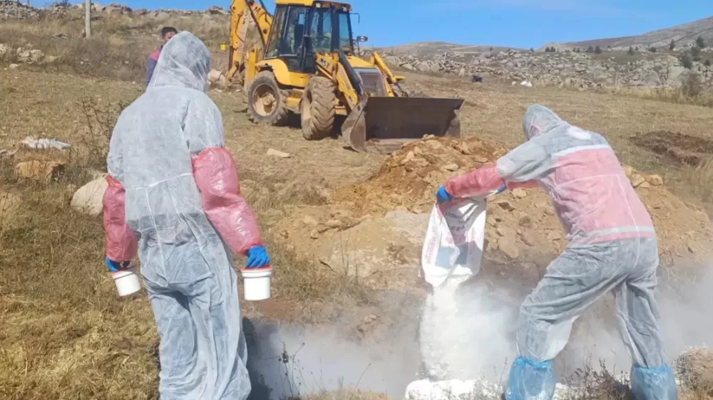  Gümüşhane’de şarbon hastalığı nedeniyle 6 köye giriş çıkış yasaklandı