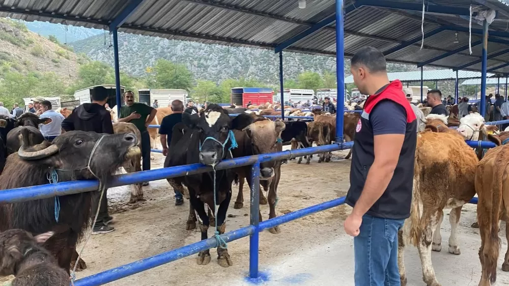 Hayvan pazarı şap hastalığı nedeniyle kapatıldı