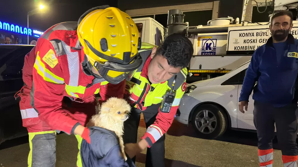 Konya Büyükşehir ekiplerinden köpek kurtarma operasyonu