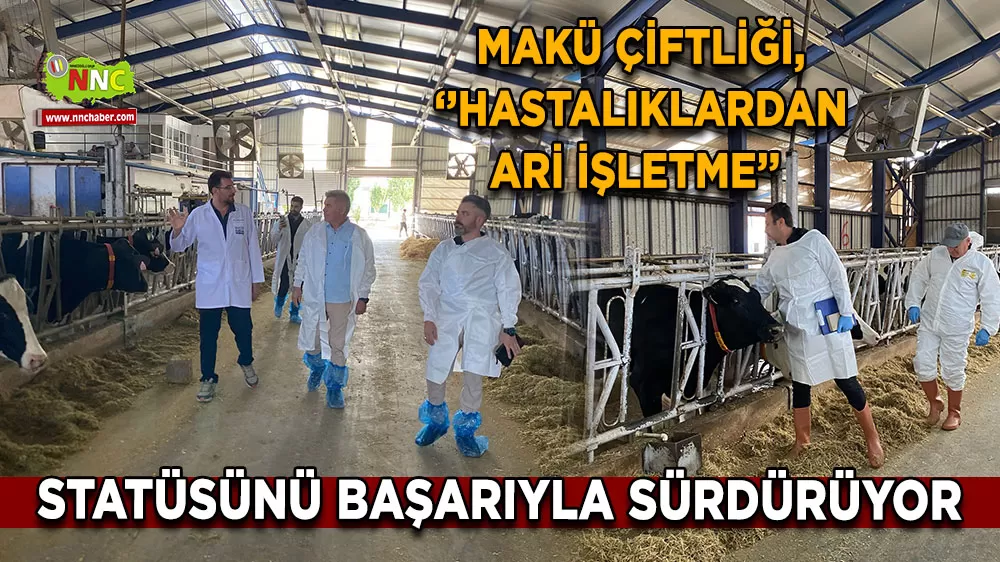 MAKÜ Çiftliği’nden büyük başarı! 'Hastalıklardan Ari' unvanını korudu