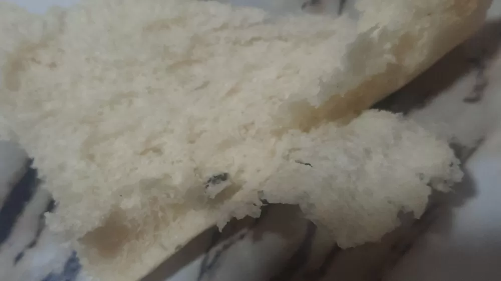 Pamukkale Halk Ekmek'in içerisinden çıkan fare dışkısı ve un kurdu yeni doğum yapan anneyi sütten kesti