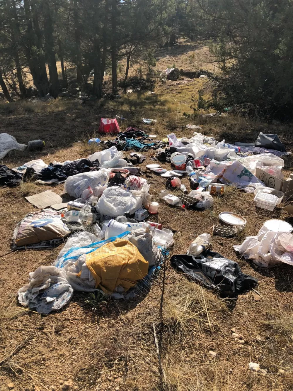 İnsan diyemiyorum diyerek verdi veriştirdi Başkan Selimoğlu'ndan sert tepki