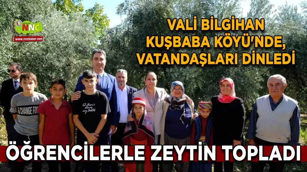 Vali Bilgihan Kuşbaba Köyü'nde Vatandaşları dinledi öğrencilerle zeytin topladı
