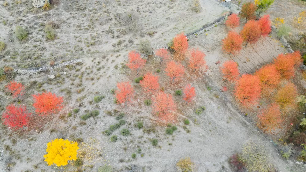 Yağlı boya tablolarını andıran sonbahar manzarası