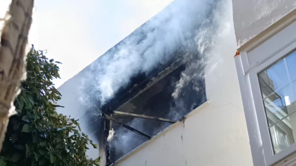 Yangında telef olduğu sanılan kedi dolabın arkasında saklanırken bulundu