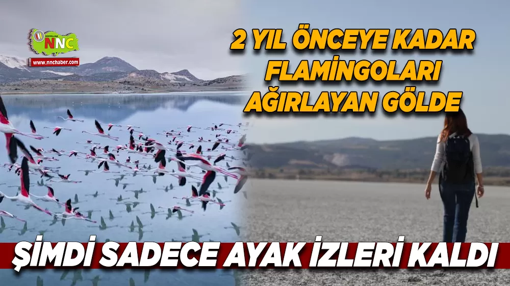 2 yıl önceye kadar flamingoları ağırlayan gölde şimdi sadece ayak izleri kaldı