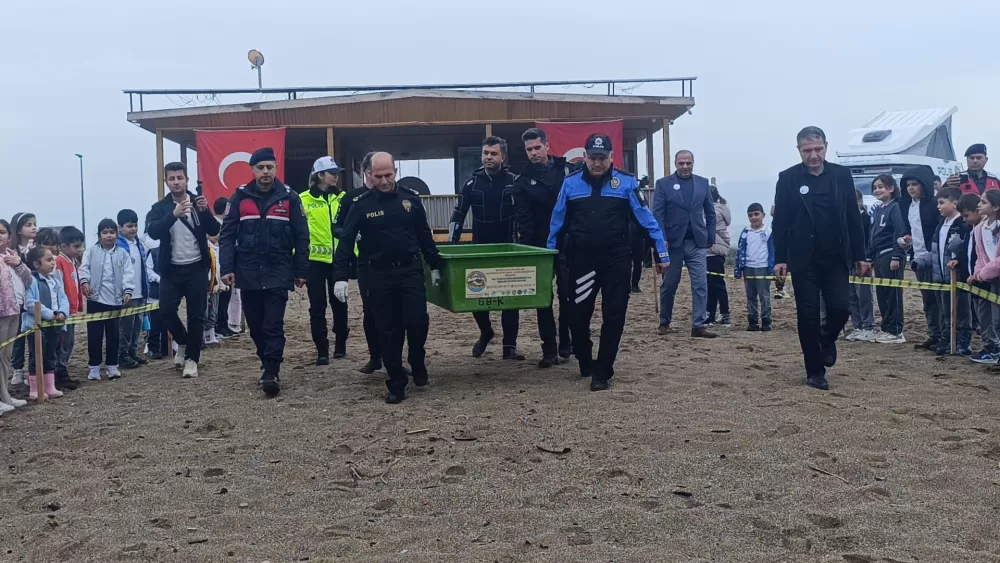 Antalya'da yaralı bulunan Caretta caretta tedavisinin ardından yeniden özgürlüğe kavuştu